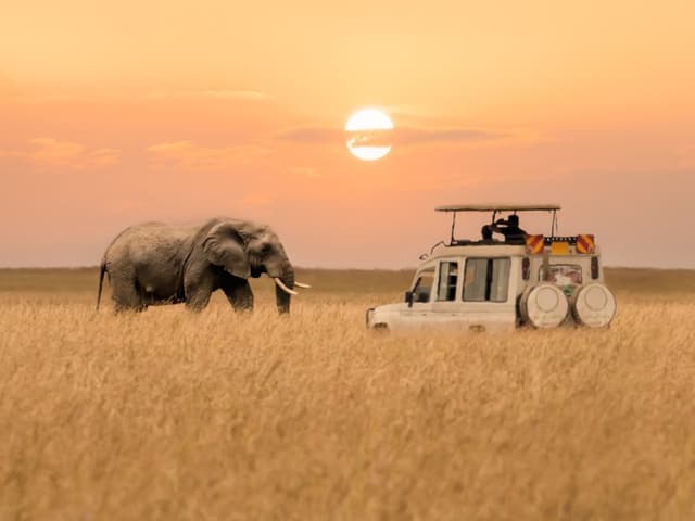 2 Days Masai Mara Safari Package