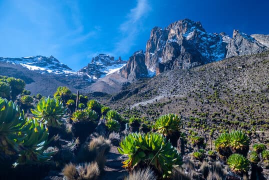 Mt Kenya